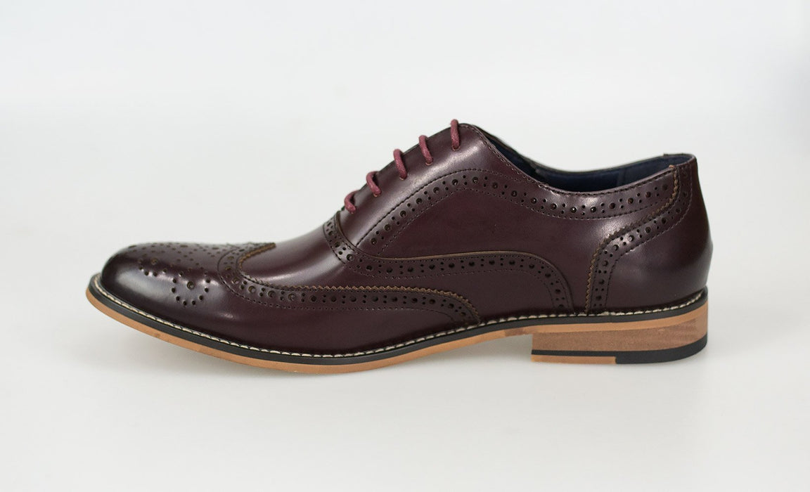 Cavani Oxford Brogue - Wine - jjdonnelly