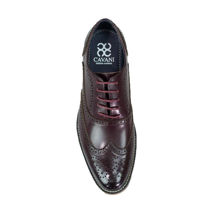 Cavani Oxford Brogue - Wine - jjdonnelly